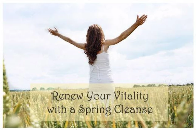 Read more about the article Kick Start your Spring Detox goals with our Spring Cleanse!